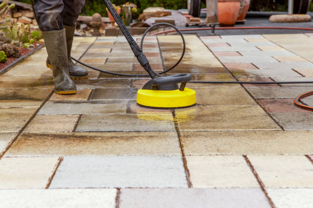 Best Animal Enclosure Cleaning  in Genoa, OH
