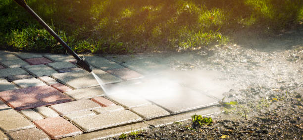 Best Solar Panel Cleaning  in Genoa, OH